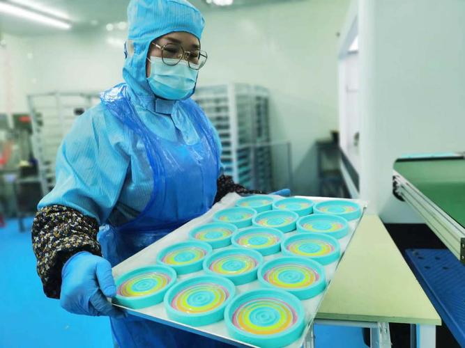 数据驱动的精准突围 一家企业的核心技术、产品定位与市场开发之路