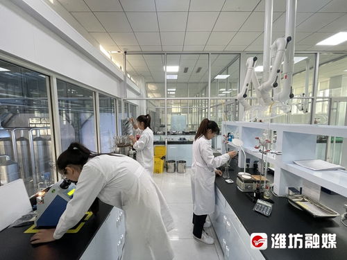 抢风口 布赛道 潍坊诸城以技术开发为核心，加速生物制造产业发展